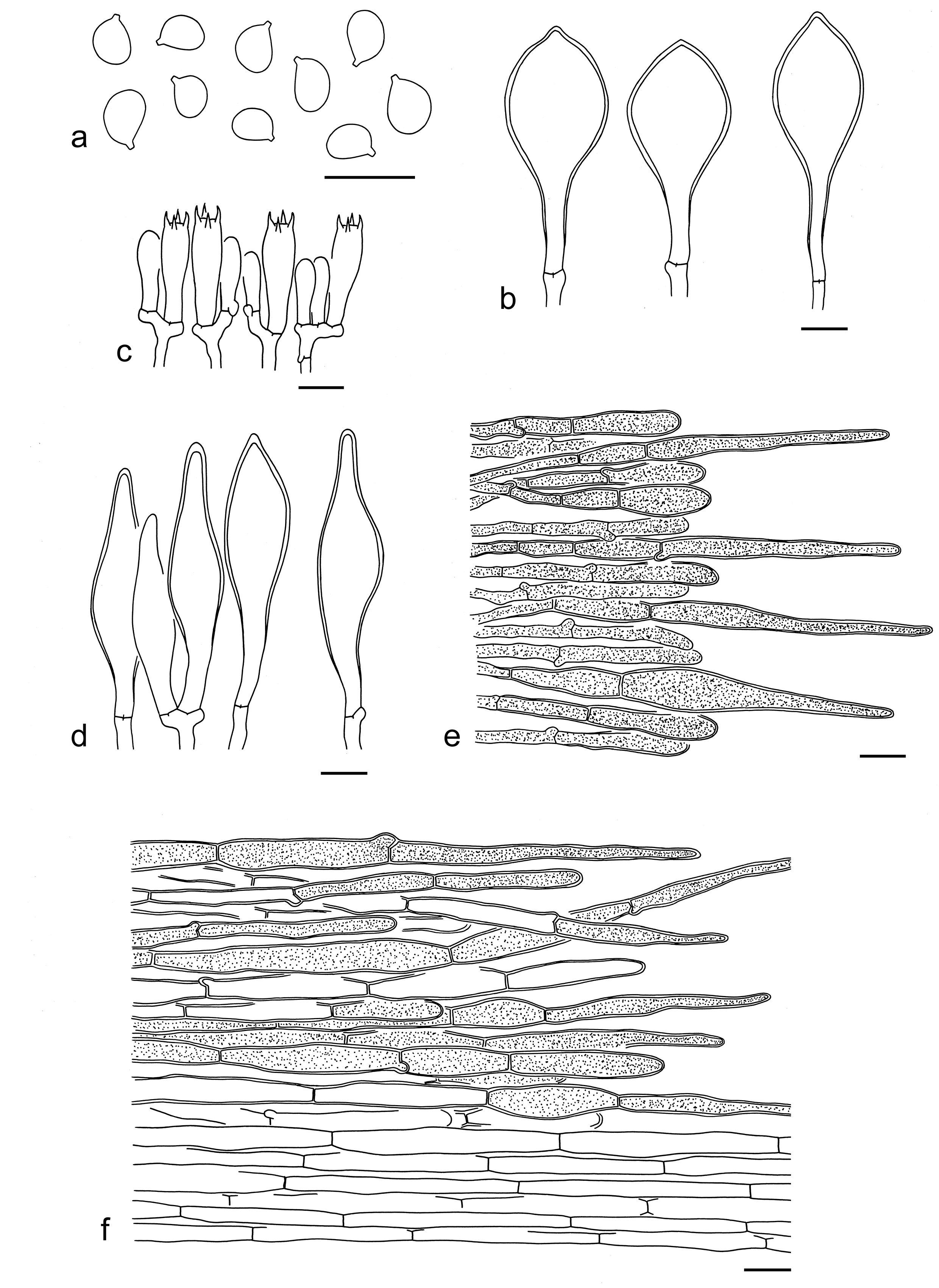 Figure 17